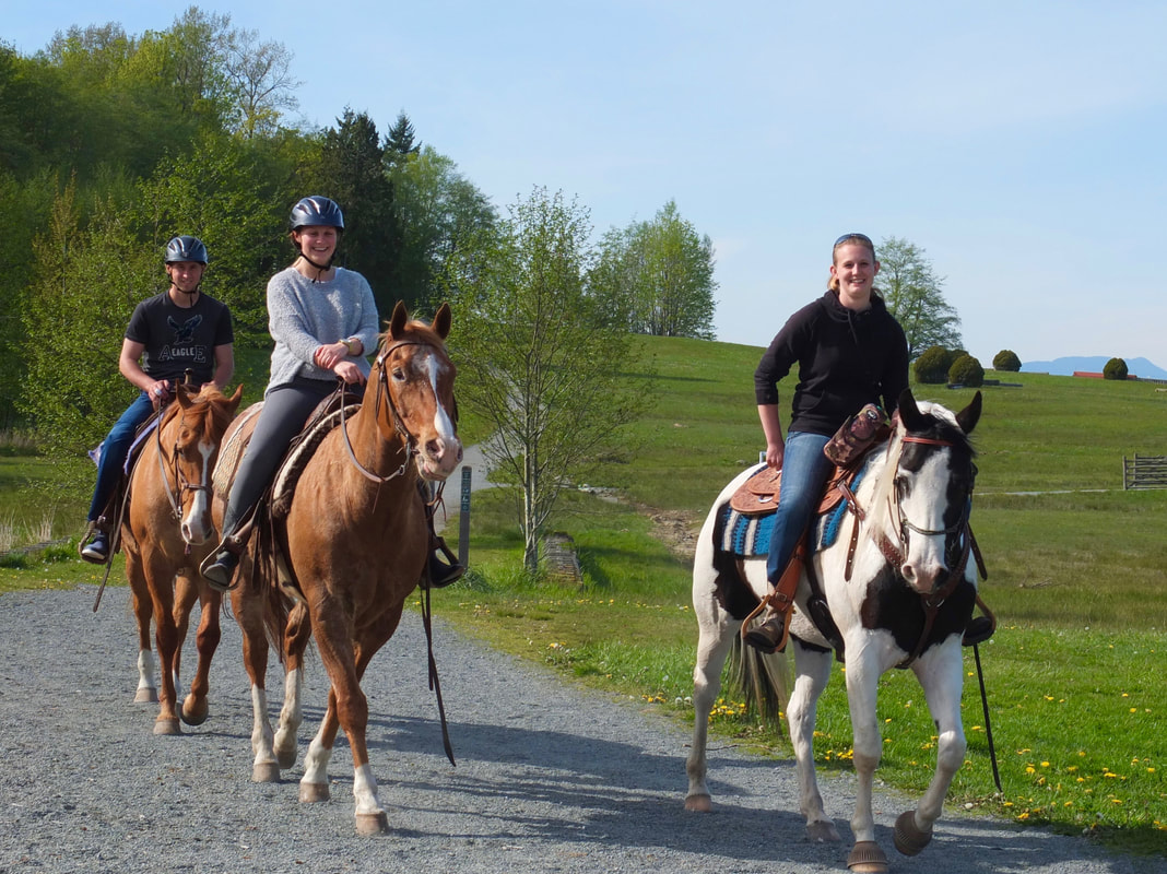 Saddle Up: Discovering the Best Equestrian Training Centers in South Surrey, BC